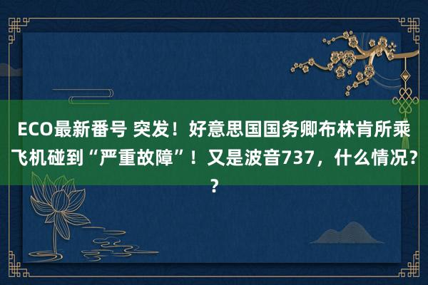 ECO最新番号 突发！好意思国国务卿布林肯所乘飞机碰到“严重故障”！又是波音737，什么情况？