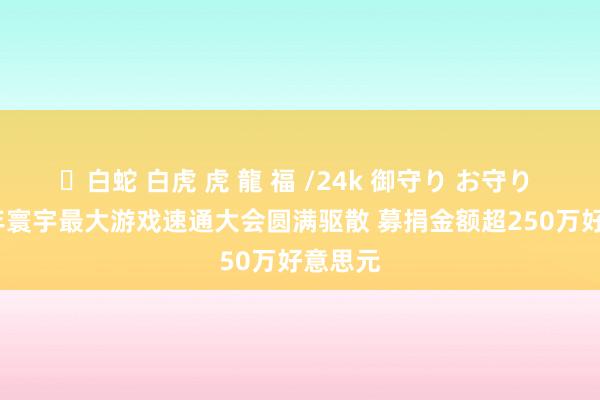 ✨白蛇 白虎 虎 龍 福 /24k 御守り お守り 2024年寰宇最大游戏速通大会圆满驱散 募捐金额超250万好意思元