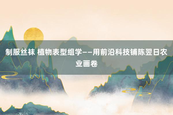 制服丝袜 植物表型组学——用前沿科技铺陈翌日农业画卷